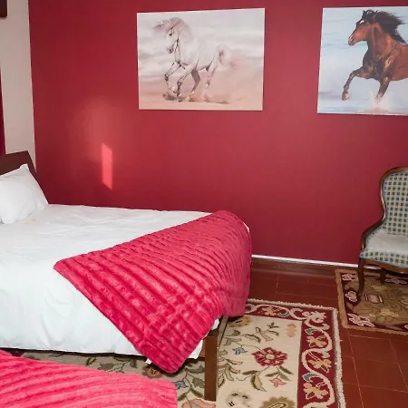 Casa Andorinhas Pensionat Ponte de Lima